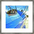 Blue And Yellow Bi Wing Framed Print