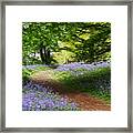 Blue Bell Wood, Journey To The Gate Framed Print