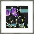 Blue, Black, Bars, Purple, Bell Flower Framed Print