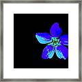 Blue By You Framed Print