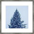 Blue Christmas Tree Framed Print