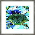 Blue Crab - Abstract Seafood Painting Framed Print