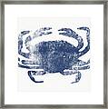 Blue Crab- Art By Linda Woods Framed Print