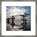 Blue Cypress Sunrise #1 Framed Print