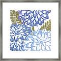 Blue Dahlias Framed Print