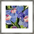 Blue Floral Framed Print