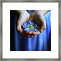 Blue Flower In Little Girl's Hands Framed Print