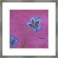 Blue Flower Magenta Background Framed Print