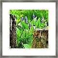 Blue Flowers And Artistic Logs Framed Print