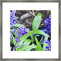 Blue Flowers B5 Framed Print