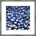 Blue Flowers Framed Print