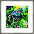 Blue  Frog Framed Print