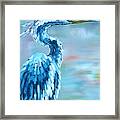 Blue Heron Framed Print