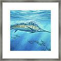 Blue Hunter Framed Print