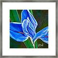 Blue Iris Framed Print