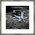 Blue Leaf Framed Print