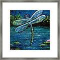 Blue Moon Dragonfly Framed Print