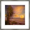 Blue Moon Rising On St. Simons Framed Print