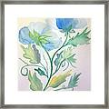 Blue Poppies Framed Print