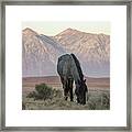 Blue Returns Framed Print