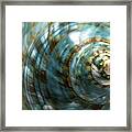 Blue Seashell Framed Print