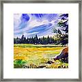 Blue Skies Pines And Meadows Framed Print