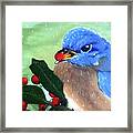 Bluebird Framed Print