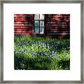 Bluebonnets In The Shade Framed Print