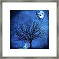 Blues In The Night Framed Print