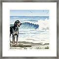 Bluetick Coonhound At The Beach Framed Print