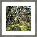 Boden Canyon - Green Canopy Framed Print