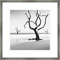 Boneyard Beach Xiii Framed Print