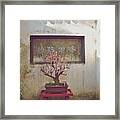 Bonsai Cherry Tree Framed Print