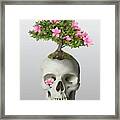 Bonsai Skull Framed Print