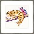 Bookend - Sleeping Kitten Framed Print