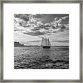 Boston Harbor Sailboat Boston Ma Black And White Framed Print