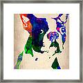Boston Terrier Watercolor Framed Print