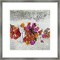 Bougainvillea's Last Reunion Framed Print