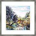 Bouquet Canyon Wash 1 Framed Print