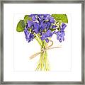 Bouquet Of Violets 2 Framed Print