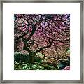 Branches Of Love Framed Print