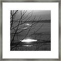 Branching Out Framed Print