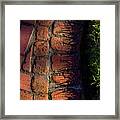 Brick Path In Afternoon Light Framed Print