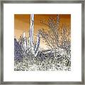 Bright Night In Tucson Framed Print