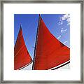 Bright Red Sails Framed Print