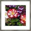 Brightens Your Day Framed Print
