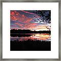 Brilliant Sunset Framed By Tree Framed Print