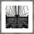 Brooklyn's Web Framed Print