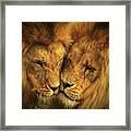 Brothers In Arms Framed Print