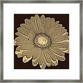 Brown Art Framed Print